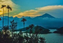 Enchanted Wayanad: A Green Symphony Above the Clouds